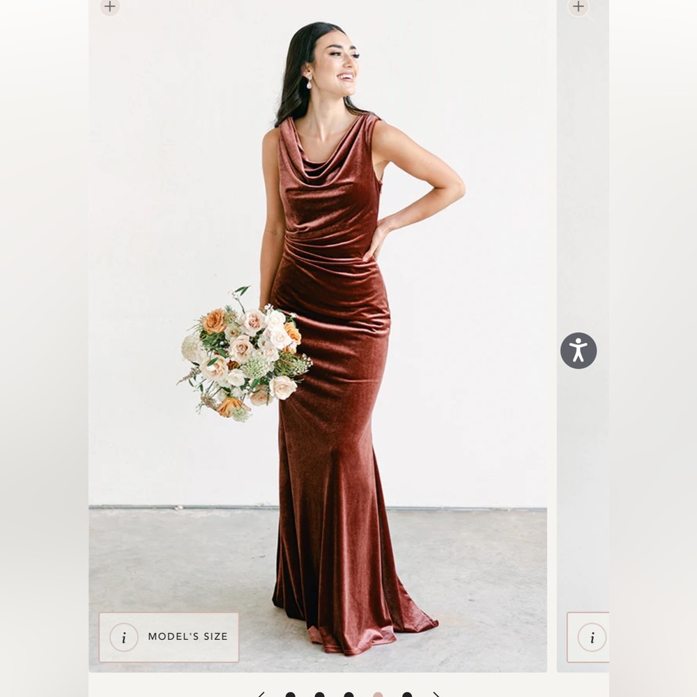 Revelry Terracotta velvet dress